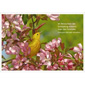 Postkarte - Vogel im Blütenzweig